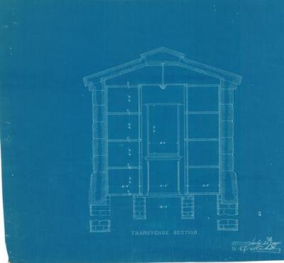 Transverse Section.jpg