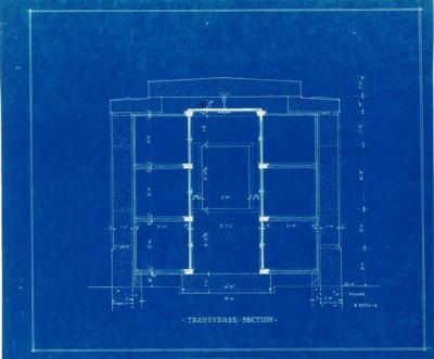 Transverse Section.jpg