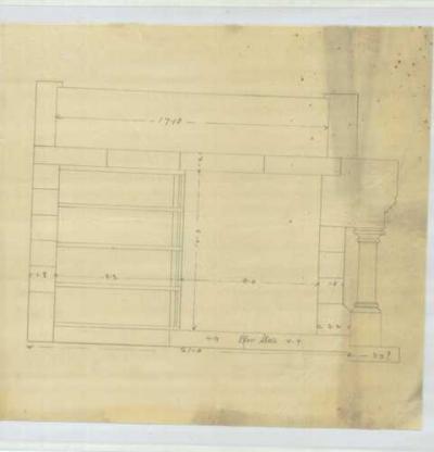 Longitudinal Section.jpg