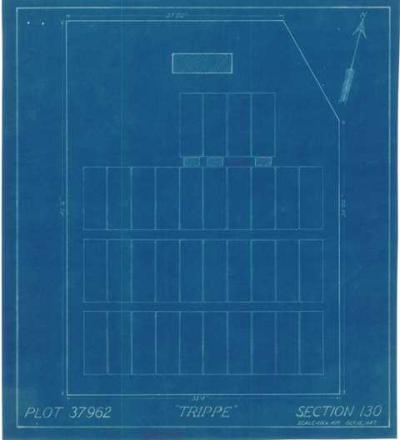 Lot Plan (copy 2).jpg