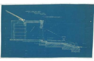 Longitudinal Section.jpg