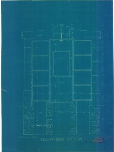 Transverse Section.jpg