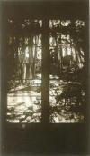 Goodnough Stained Glass.jpg