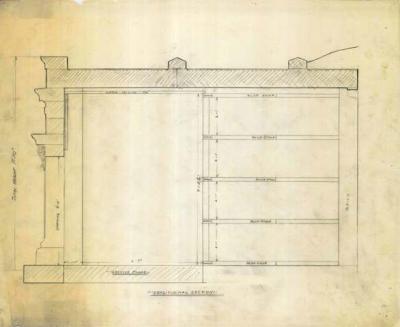Riley Longitudinal Section Sketch.jpg